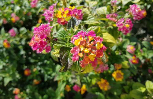 Casa da Ti Bia - Foto 32