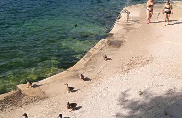 Roberto Apartment - Foto 37