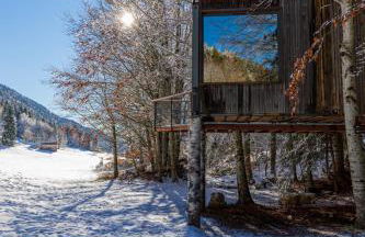 Cabane perchée La Résilience sur le plateau du Vercors - Foto 3