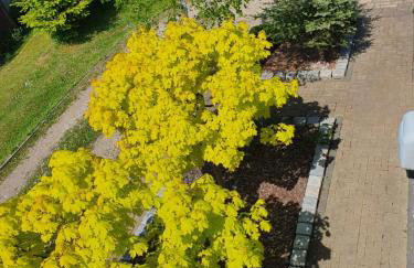 Villa ENERGY - Foto 63