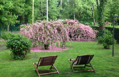 Baita Sorriso - Foto 49