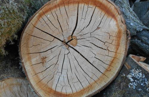 Agriturismo La Casa Nei Boschi - Foto 66