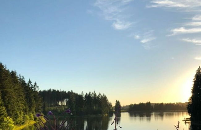 Panoramic View of Lake Harz - Photo 20