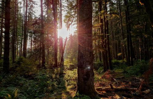 Private Spacious Villa near Winterberg and Willingen 14 Guests HUGE GARDEN Free Parking for Multiple Cars - Foto 23