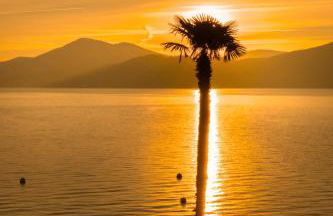 Residence Casa e Vela - Foto 51