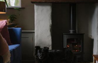 Elm Tree Cottage - Foto 16