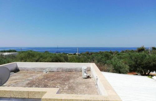 Al Marchello offline - Foto 30