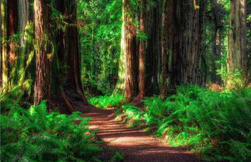 Aunt Ginnys River View - Photo 36