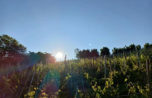 La Briccola - Foto 12