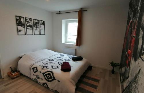 Le Vélo Vintage, Beau 2 pièces centre ville - Foto 11