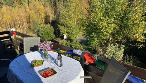 Haus Fichtelgebirge - Foto 5, Garden, Garden view