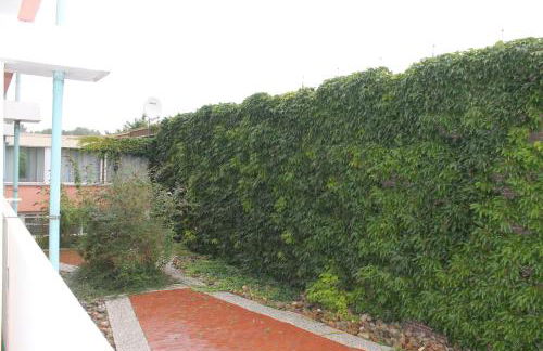 Ostseeappartement K014 - Foto 10