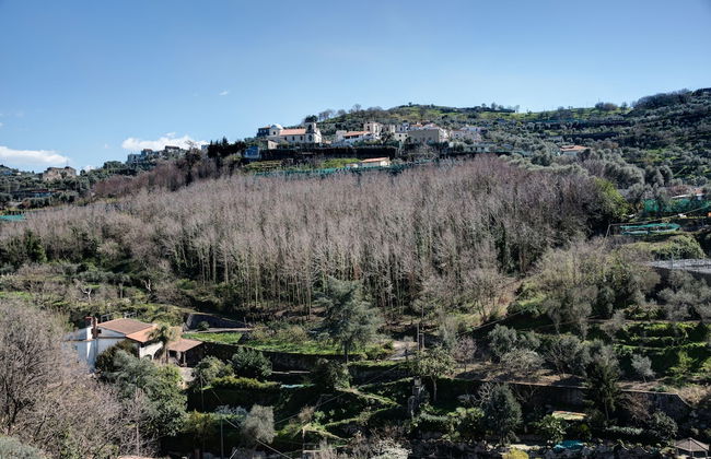 Agriturismo Oleum - Foto 46