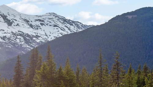 Brighton Condo #209 - Photo 4