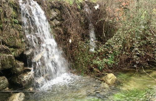 Relax Container - Foto 41