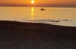 PARADISE SUITES Buenavista Beach - Photo 29