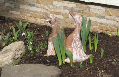 Ferienwohnung Arnold - Foto 14