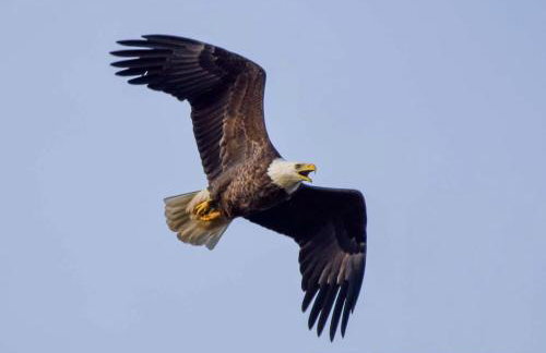 Gorgeous Tiny House with Indoor and Outdoor Lounging Space in Alabama - Foto 59