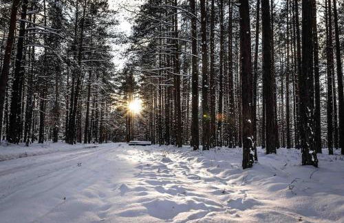 Kleine Auszeit im Seenland - Foto 41