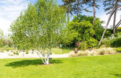 Villa Schmidt Apartments - Strandhaus direkt am Meer mit Sauna, Sport und Dünengarten - Deluxe - Foto 27