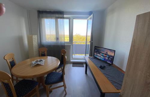 Neue Monteur und Handwerker Wohnung THMS 14 R - Foto 1