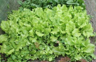 Maison Mille Fleurs - Foto 29