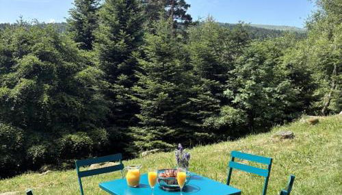 Triplex montagnard avec sauna et balcon à Chalmazel - FR-1-496-338 - Foto 4