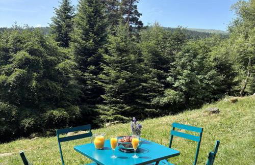 Triplex montagnard avec sauna et balcon à Chalmazel - FR-1-496-338 - Foto 4