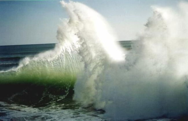 Bethells Beach Cottages - Foto 27