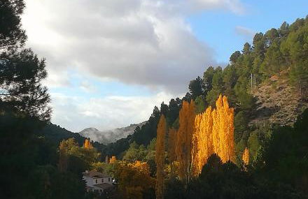 Saluda Alta - Foto 12