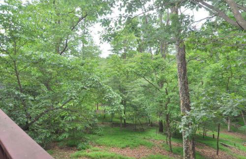 Treetop Cabin -- Pool Access - Fireplace - Grill - Screen Porch - Deck - Wifi - Golf Nearby - Foto 35