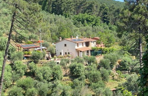 Rivolta home - Foto 1