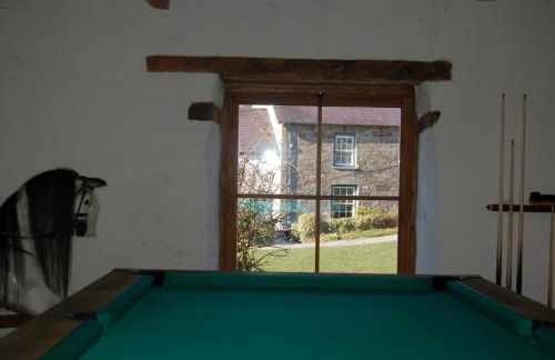 Nantgwynfaen Organic Farm Wales - Photo 23