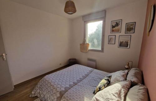 Appartement cosy Oloron, aux pieds des Pyrénées et de l'Atlantique! - Photo 14