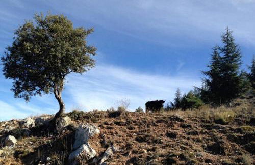 Casas Rurales Telecabina Las Catifas - Photo 71