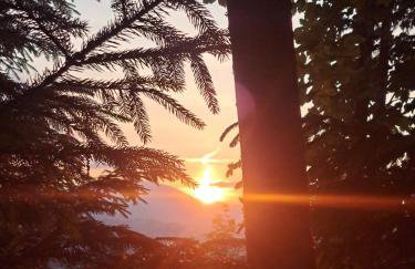 Świerkowy Zakątek u Bacy - Foto 33