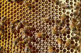 Agriturismo Le Serre - Foto 38