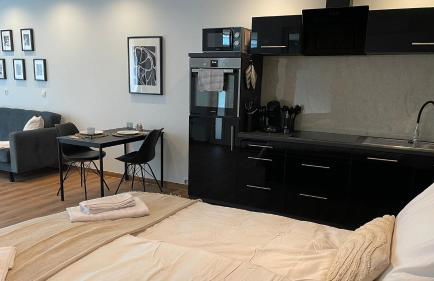 Gallery Apartment - Photo 5