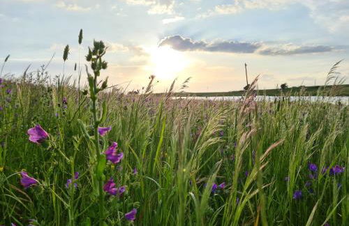 Monte do Arneiro - Foto 60