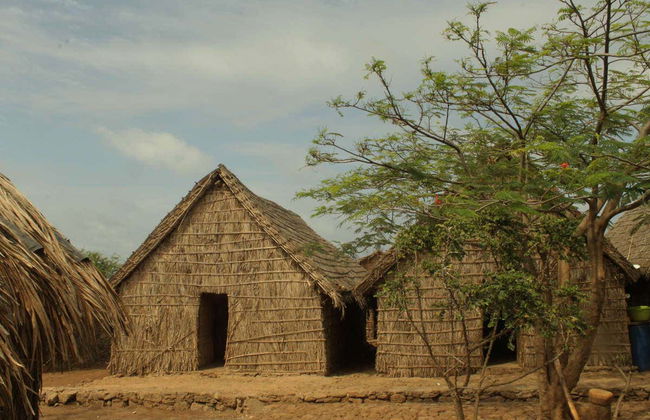 Serra de Malagueta Hike - Foto 5
