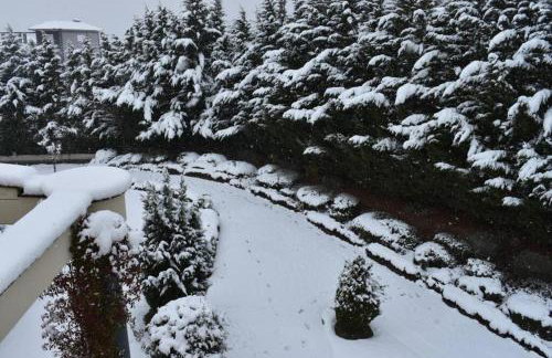 KTHMA TZHKA - Villa Elassona - Photo 54