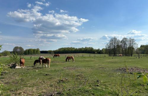 dla mnie się podoba - Foto 35
