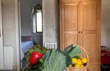 Casa da Mata - Foto 53