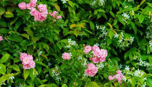 Casa Rural Arraigorri - Foto 5