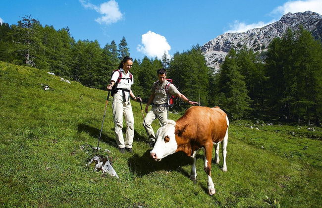 Holiday Home in St. Koloman Near Salzburg - Photo 30