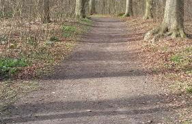 Schönes Appartement in ruhiger Lage - Foto 16