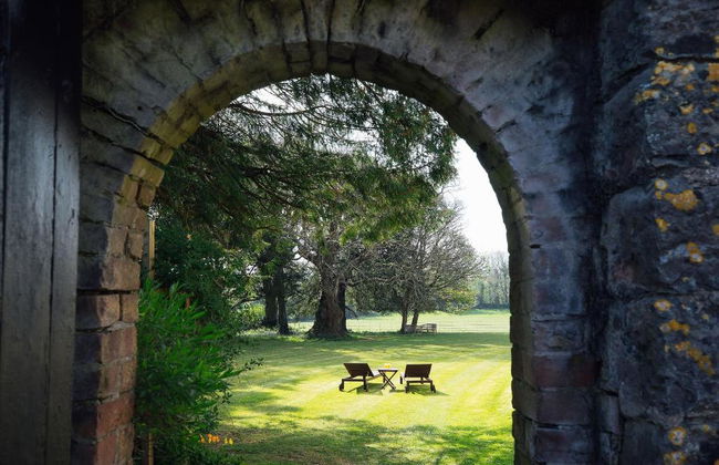 Elm Grove Country House - Foto 3