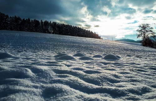 Ferienwohnung Eichkatzel - Foto 59