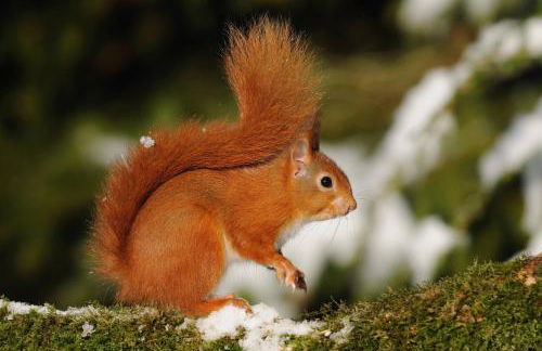 Cavens Country House, DINNER INCLUSIVE! - Foto 54