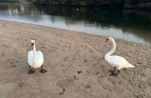 Rincon Talo Río - Foto 21